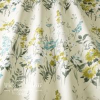 Wild meadow Pistachio