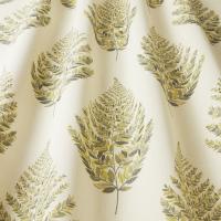 Ткань Frond Fennel / Коллекция Observatory / Бренд ILIV