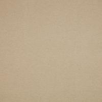 Ткань Calvert Putty / Коллекция Plains & Textures 10 / Бренд ILIV