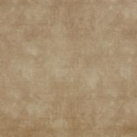 Ткань Larne Putty / Коллекция Plains & Textures 10 / Бренд ILIV